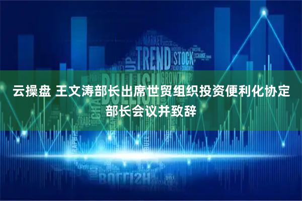 云操盘 王文涛部长出席世贸组织投资便利化协定部长会议并致辞