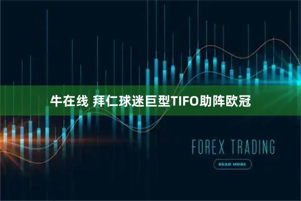 牛在线 拜仁球迷巨型TIFO助阵欧冠