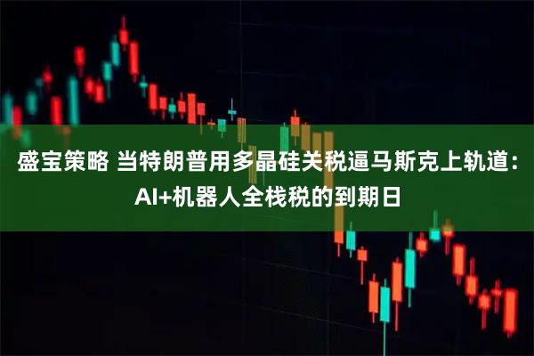盛宝策略 当特朗普用多晶硅关税逼马斯克上轨道：AI+机器人全栈税的到期日