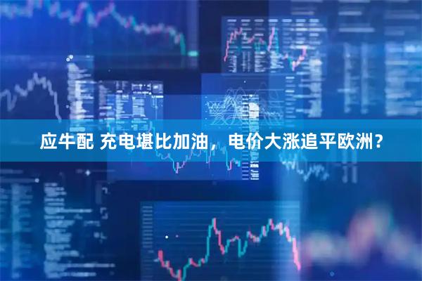 应牛配 充电堪比加油，电价大涨追平欧洲？